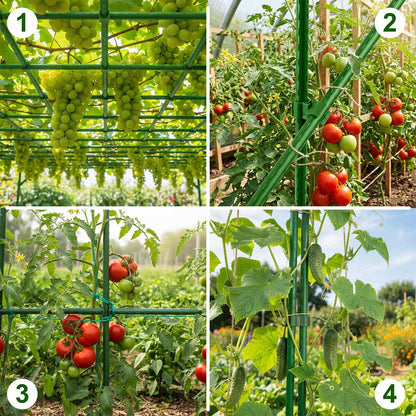 Augalų atramų jungtys Plonos, 2 tipo, 11 mm, 10 vnt., žalios