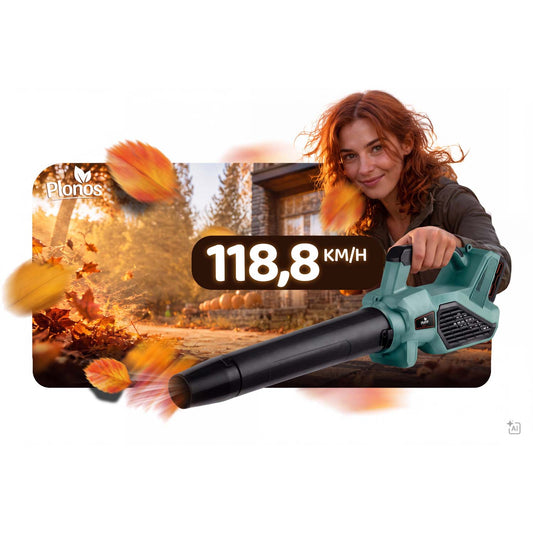 Akumuliatorinis pūstuvas Plonos, 21 V, 300 W, 2 × 3 Ah