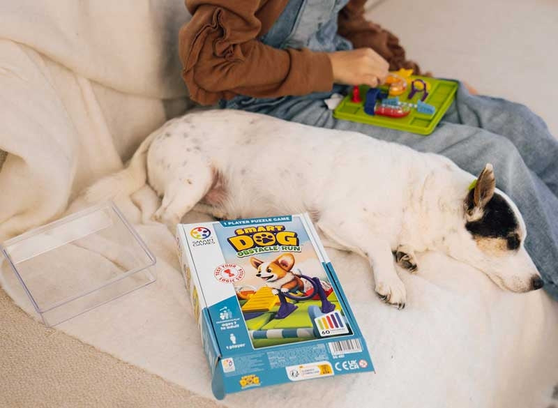 Loginis žaidimas vaikams ir suaugusiems Smart Dog su šuniuko figūrėle ir kliūčių trasa