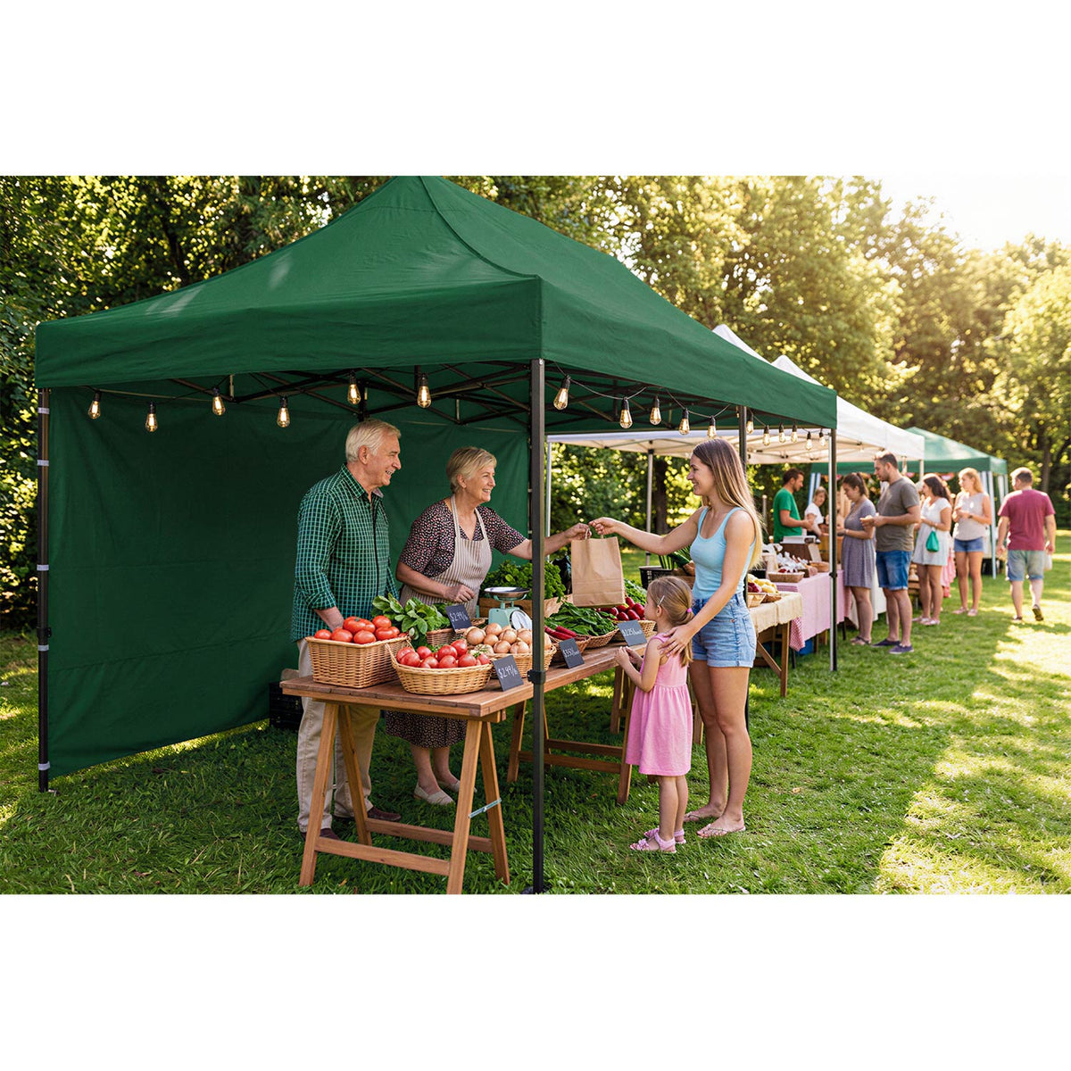 Sulankstomas sodo paviljonas Plonos, 3 × 6 m, 3 sienos, žalias