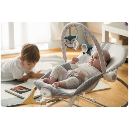 Vibruojantis kūdikio gultukas-sūpuoklė Ricokids, pilkas